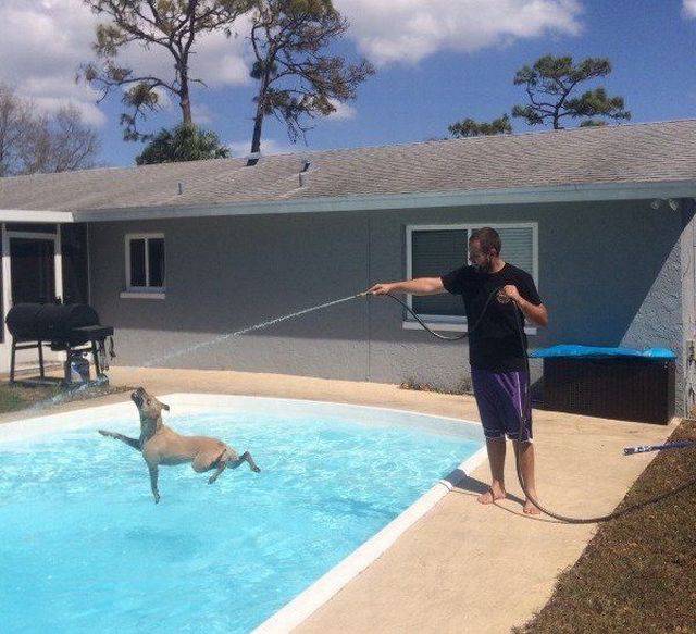 daily picdump 88 pics 3.html - 88 HD Photos | Premium Gallery 2017