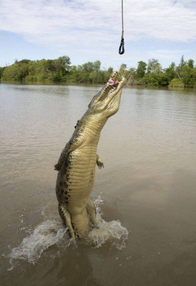 daily picdump 88 pics 3.html - 88 HD Photos | Premium Gallery 2017