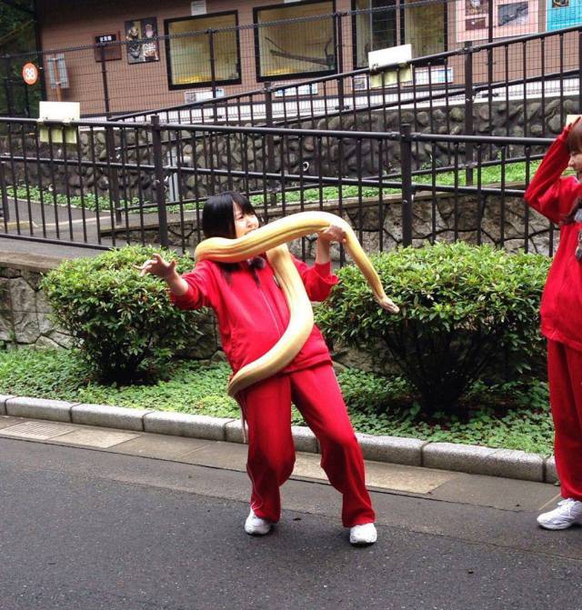 daily picdump 88 pics 3.html - 88 HD Photos | Premium Gallery 2017