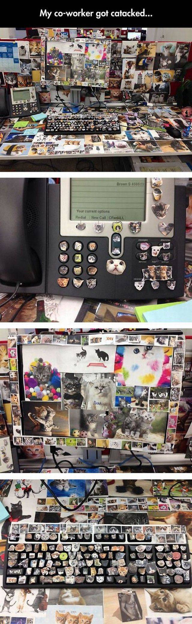 daily picdump 88 pics 3.html - 88 HD Photos | Premium Gallery 2017