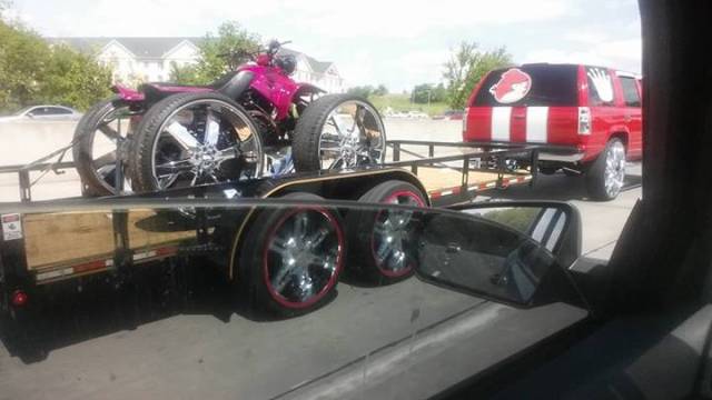 morning picdump 50 pics 15.html - 50 HD Photos | Premium Gallery 2017