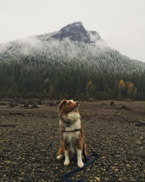 morning picdump 50 pics 15.html - 50 HD Photos | Premium Gallery 2017