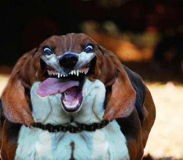 morning picdump 50 pics 15.html - 50 HD Photos | Premium Gallery 2017