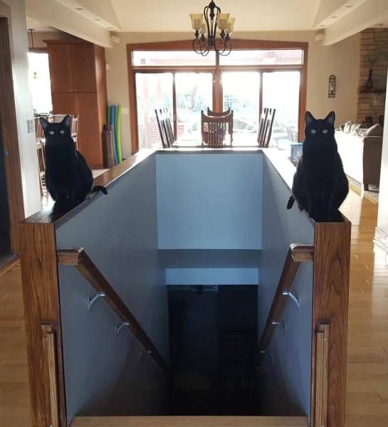 daily picdump weekend edition 50 pics 18.html - 50 HD Photos | Premium Gallery 2017