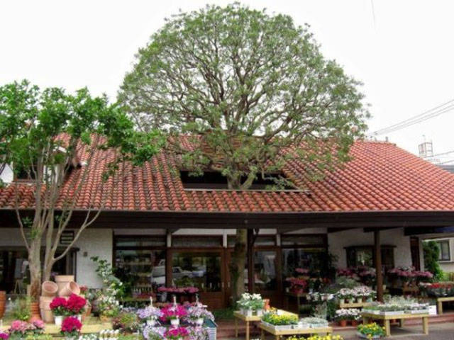 daily picdump weekend edition 50 pics 18.html - 50 HD Photos | Premium Gallery 2017