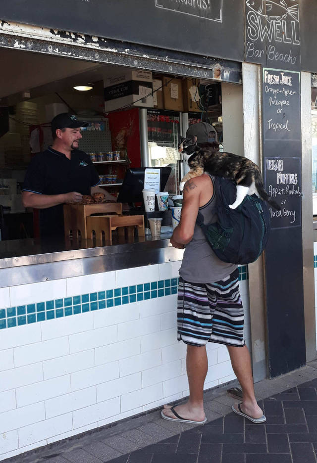 daily picdump weekend edition 50 pics 18.html - 50 HD Photos | Premium Gallery 2017