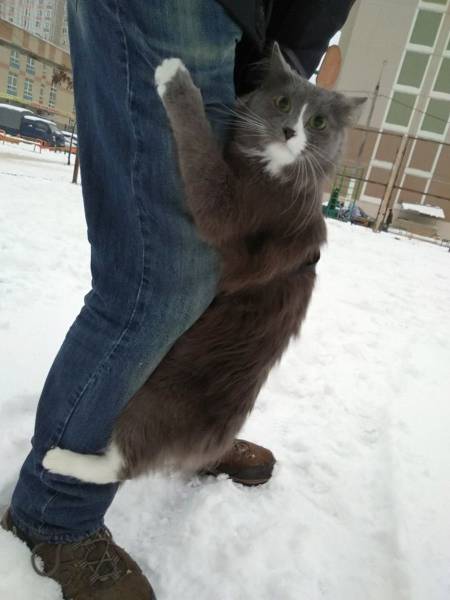 Daily Picdump