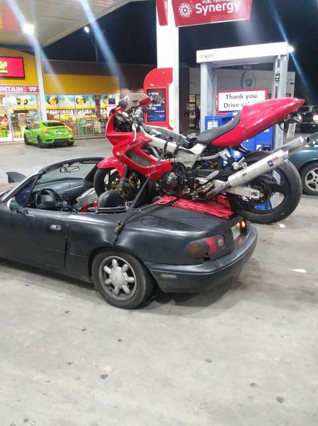 morning picdump 50 pics 4.html - 50 HD Photos | Premium Gallery 2017