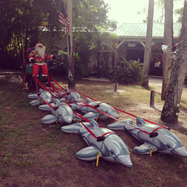 morning picdump 50 pics 4.html - 50 HD Photos | Premium Gallery 2017