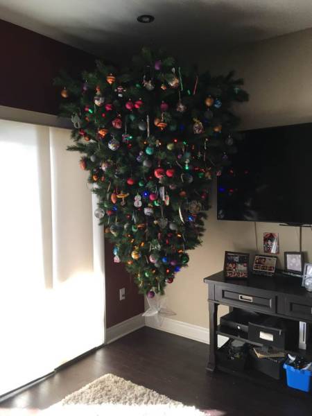 morning picdump 50 pics 4.html - 50 HD Photos | Premium Gallery 2017