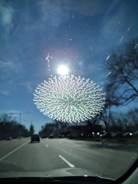 morning picdump 50 pics 4.html - 50 HD Photos | Premium Gallery 2017