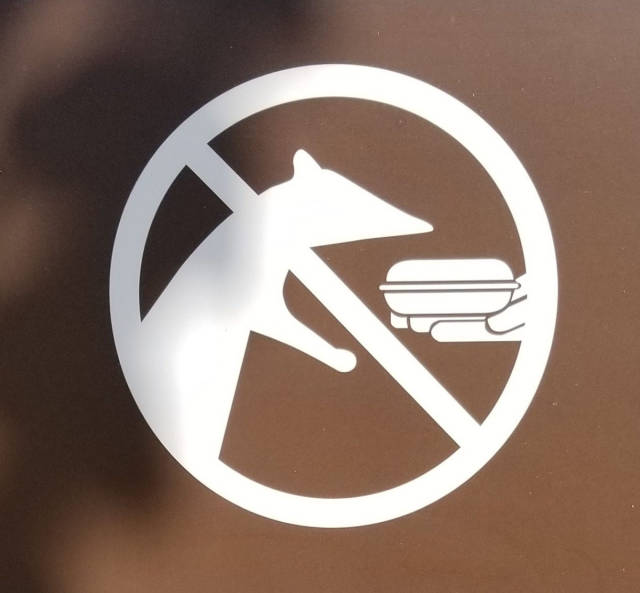 morning picdump 50 pics 4.html - 50 HD Photos | Premium Gallery 2017