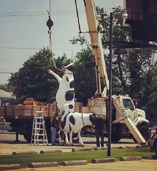 morning picdump 50 pics 4.html - 50 HD Photos | Premium Gallery 2017