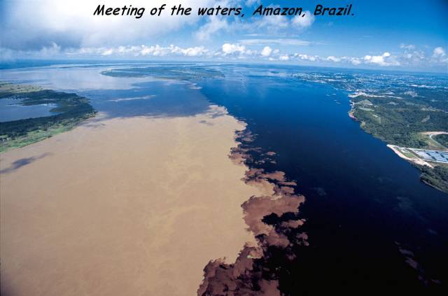 daily picdump 97 pics 12.html - 97 HD Photos | Premium Gallery 2017