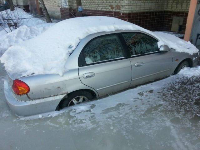 daily picdump 97 pics 12.html - 97 HD Photos | Premium Gallery 2017