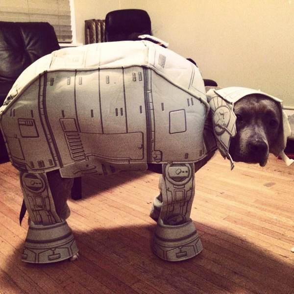 daily picdump 97 pics 12.html - 97 HD Photos | Premium Gallery 2017