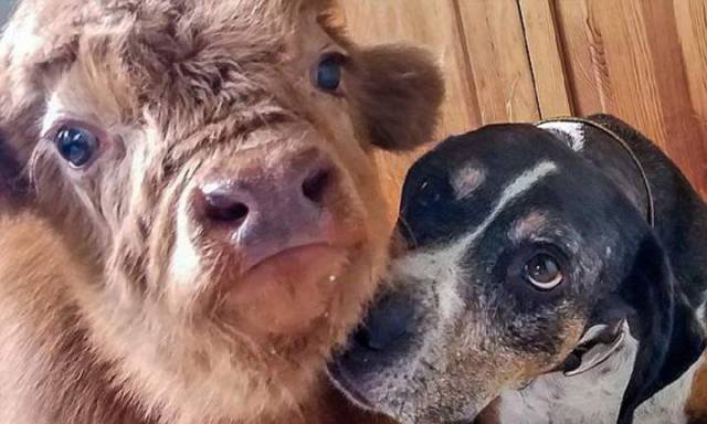 daily picdump 97 pics 12.html - 97 HD Photos | Premium Gallery 2017