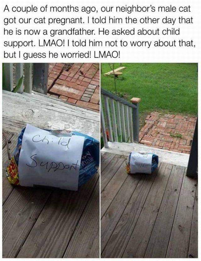 daily picdump 97 pics 12.html - 97 HD Photos | Premium Gallery 2017