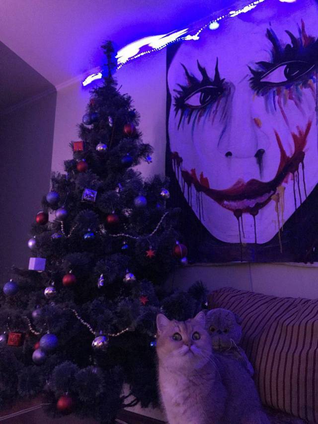 daily picdump 97 pics 12.html - 97 HD Photos | Premium Gallery 2017