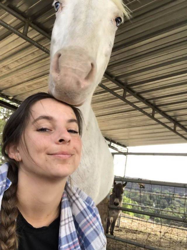 daily picdump 97 pics 12.html - 97 HD Photos | Premium Gallery 2017