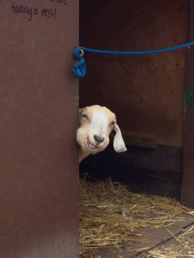 daily picdump 97 pics 12.html - 97 HD Photos | Premium Gallery 2017