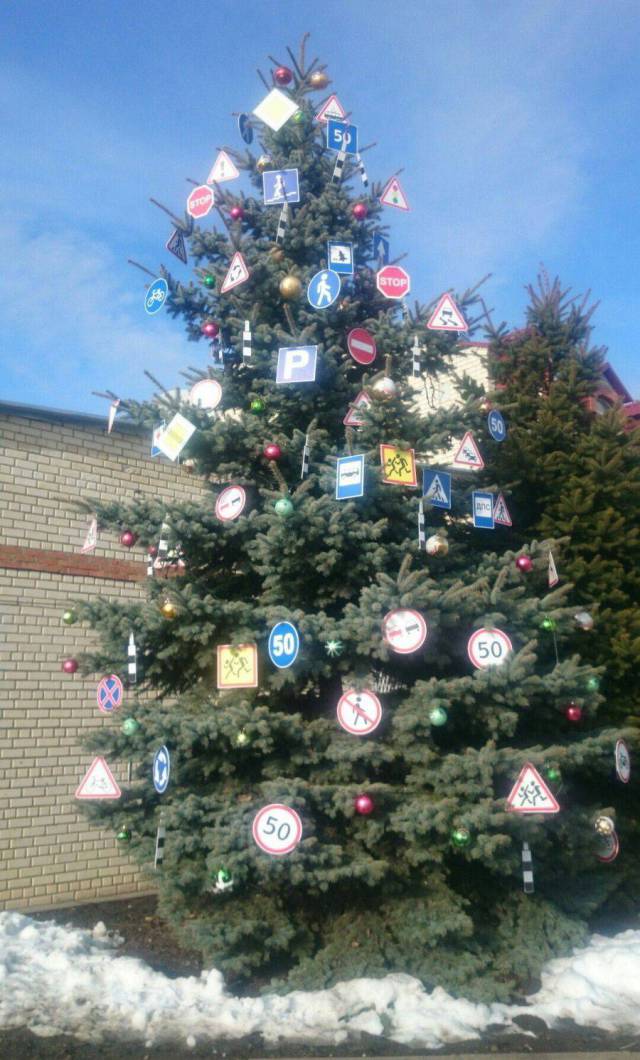 daily picdump 97 pics 12.html - 97 HD Photos | Premium Gallery 2017