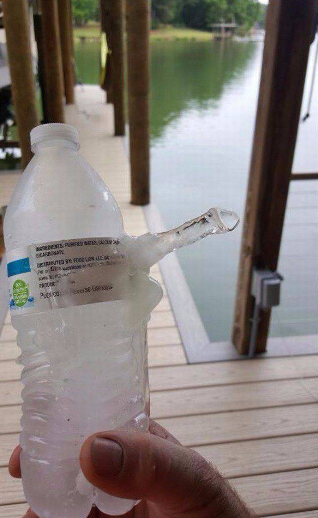 daily picdump 97 pics 12.html - 97 HD Photos | Premium Gallery 2017