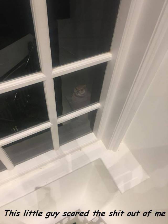 daily picdump 97 pics 12.html - 97 HD Photos | Premium Gallery 2017