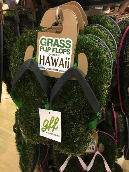 morning picdump 50 pics 5.html - 50 HD Photos | Premium Gallery 2017