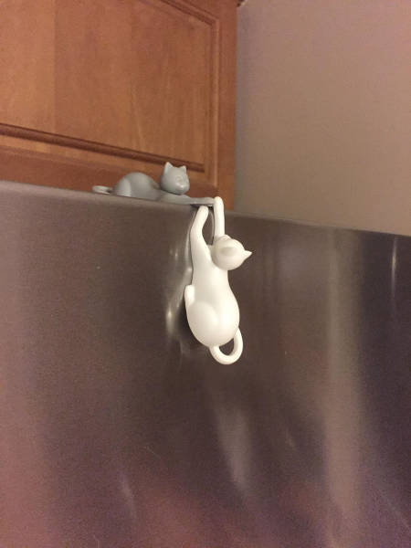 morning picdump 50 pics 5.html - 50 HD Photos | Premium Gallery 2017