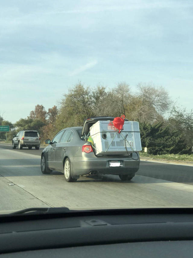 morning picdump 50 pics 5.html - 50 HD Photos | Premium Gallery 2017