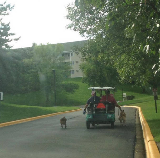 Being Lazy Is So Easy