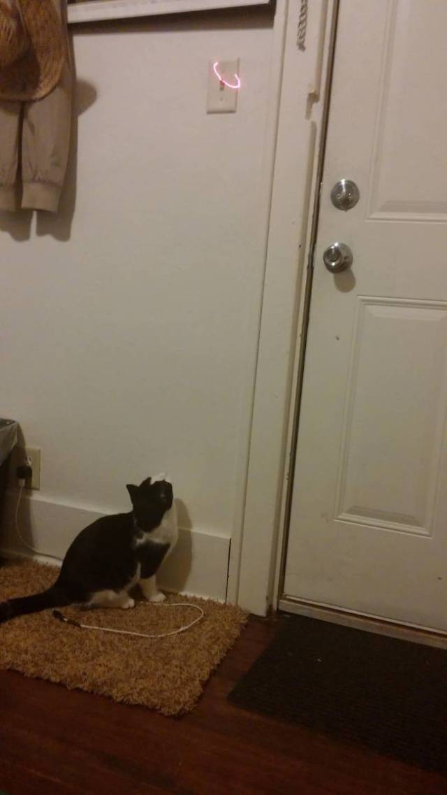 Being Lazy Is So Easy