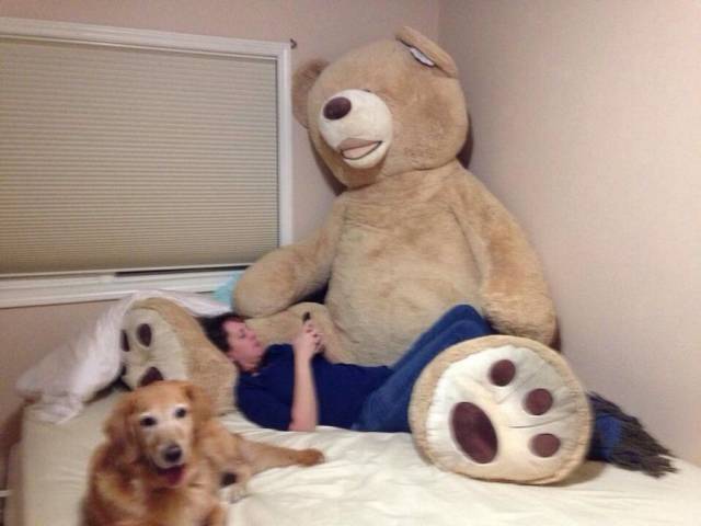 daily picdump 95 pics 35.html - 95 HD Photos | Premium Gallery 2017