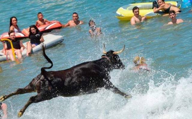 daily picdump 95 pics 35.html - 95 HD Photos | Premium Gallery 2017