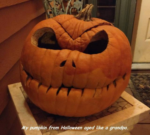 daily picdump 95 pics 35.html - 95 HD Photos | Premium Gallery 2017