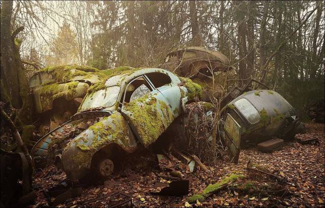 daily picdump 95 pics 35.html - 95 HD Photos | Premium Gallery 2017