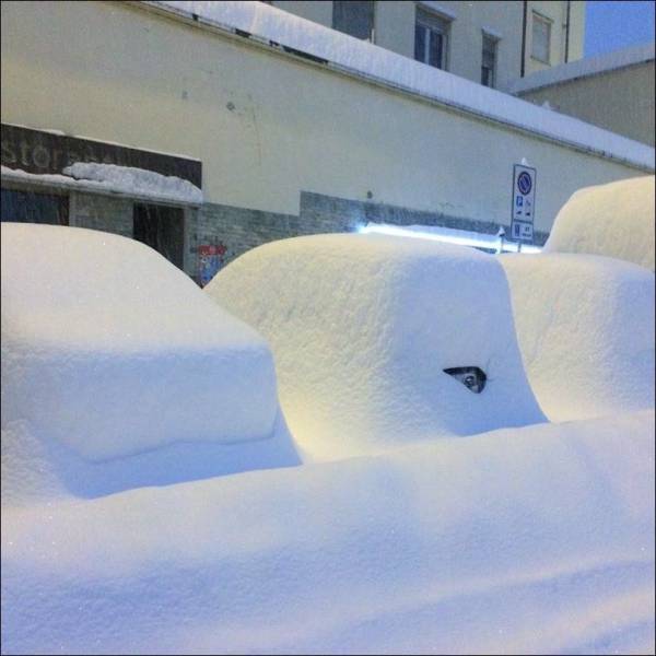 daily picdump 95 pics 35.html - 95 HD Photos | Premium Gallery 2017