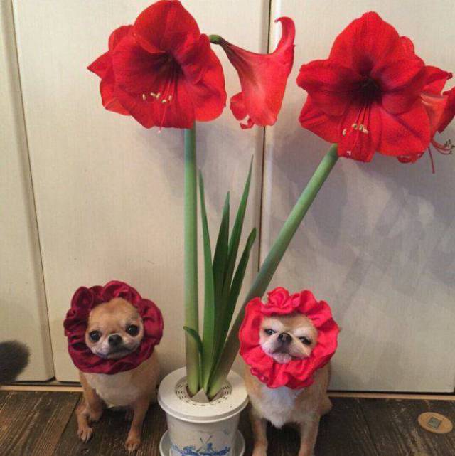 daily picdump 95 pics 35.html - 95 HD Photos | Premium Gallery 2017