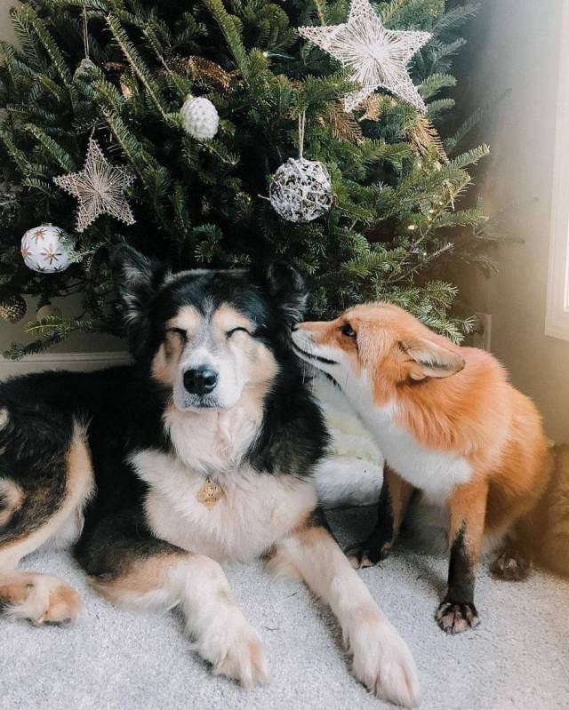 daily picdump 95 pics 35.html - 95 HD Photos | Premium Gallery 2017