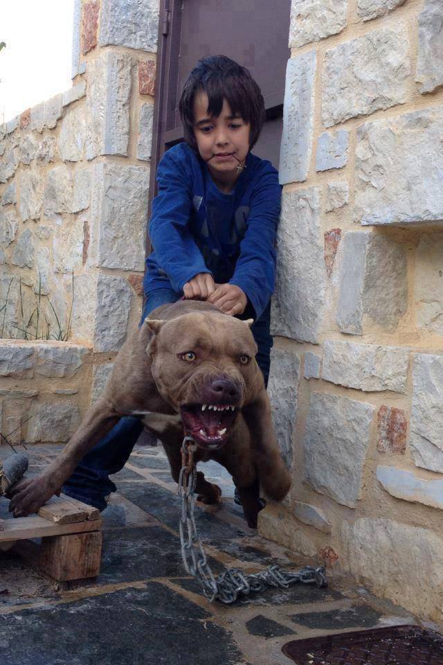 daily picdump 95 pics 35.html - 95 HD Photos | Premium Gallery 2017