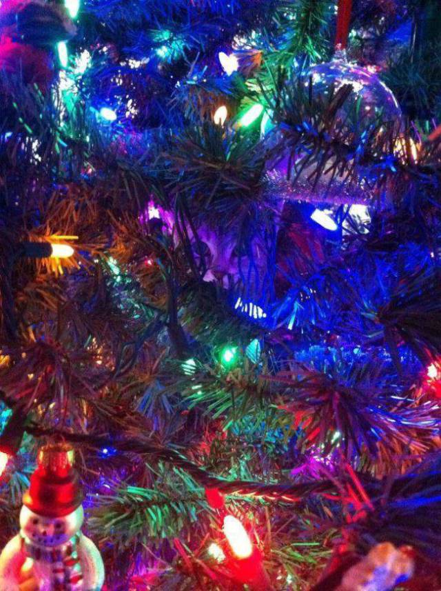 daily picdump 95 pics 35.html - 95 HD Photos | Premium Gallery 2017