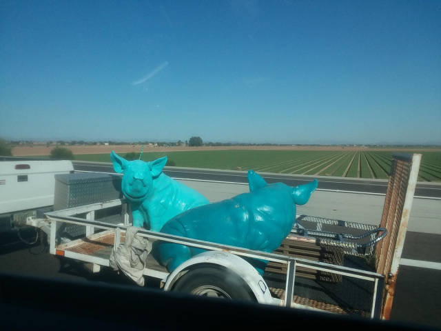 morning picdump 50 pics 9.html - 50 HD Photos | Premium Gallery 2017