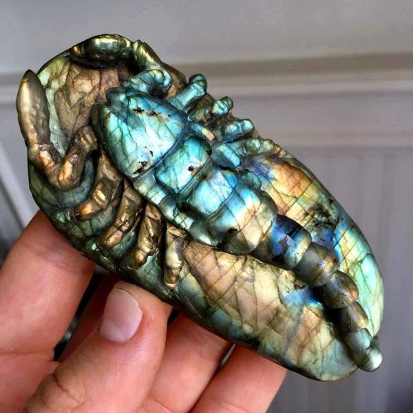 morning picdump 50 pics 9.html - 50 HD Photos | Premium Gallery 2017