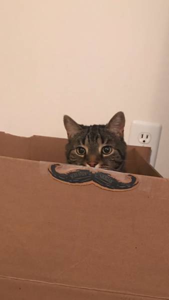 morning picdump 50 pics 9.html - 50 HD Photos | Premium Gallery 2017