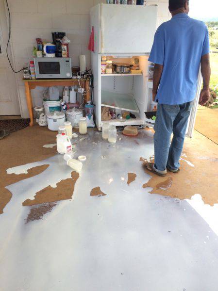 morning picdump 50 pics 9.html - 50 HD Photos | Premium Gallery 2017