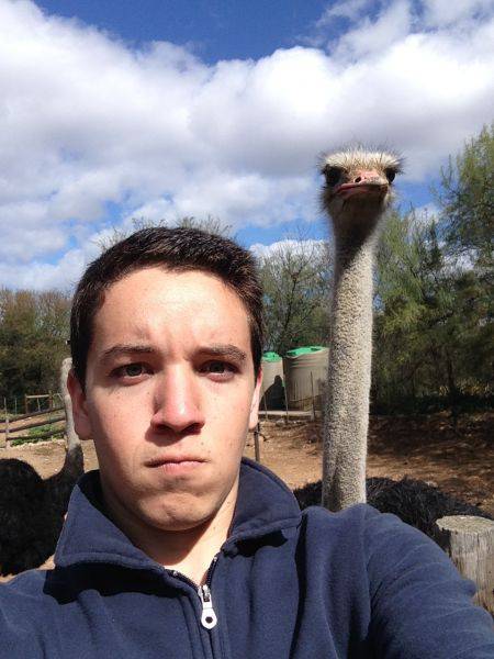 morning picdump 50 pics 9.html - 50 HD Photos | Premium Gallery 2017