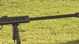 Hot Girls With Big Guns