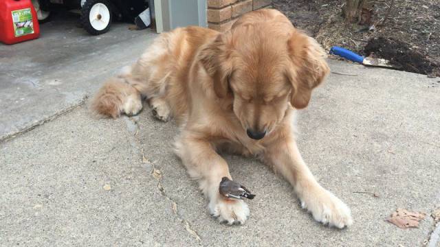 daily picdump weekend edition 60 pics 7.html - 60 HD Photos | Premium Gallery 2017