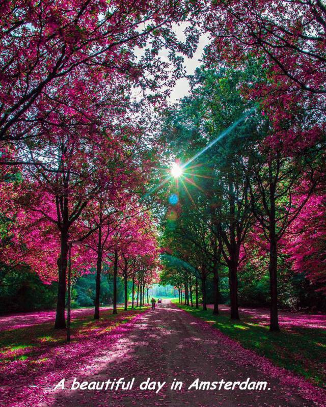 daily picdump weekend edition 60 pics 7.html - 60 HD Photos | Premium Gallery 2017